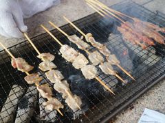 -吴淞炮台湾湿地森林公园烧烤区