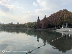 -天鹅湖体育公园