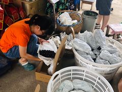 -马陆小张葡萄园农家乐