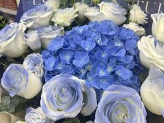 -爱尚鲜花店(粤通综合楼店)