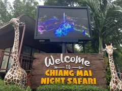 -清迈夜间动物园