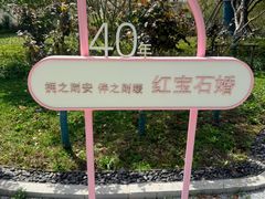 -上海鲜花港