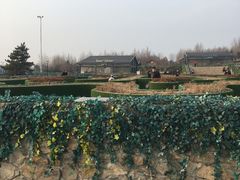 -莫子山公园