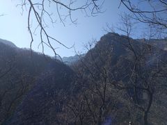 -陕西省红河谷森林公园