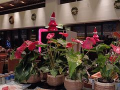 -悦椿温泉酒店·悦椿苑火锅餐厅