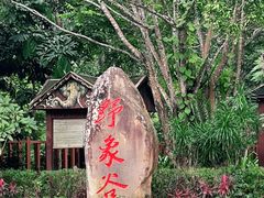 -野象谷景区