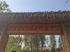 -泗洪洪泽湖湿地景区