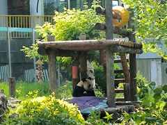 -大连森林动物园