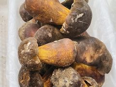 -云南木水花野生菌交易中心