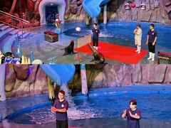 -烟台海昌鲸鲨海洋公园