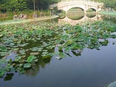 -郑州方特梦幻王国