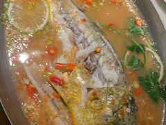 -佬肥猫(国华广场店)