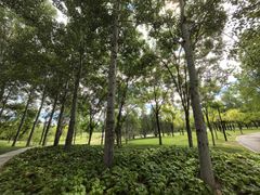 -北坞公园