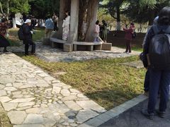 -白塘生态植物园