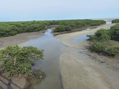-北海金海湾红树林生态旅游区