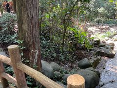 -火炉山森林公园