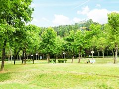 -顺峰山公园
