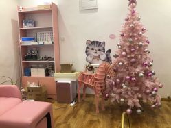 -Lab Season惜辰颜究社
