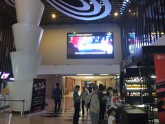 -幸福蓝海国际影城(河西店)