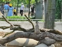 -长廊欢乐园
