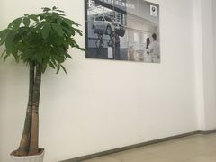 -诸暨宝顺宝马4S店(陶朱街道店)