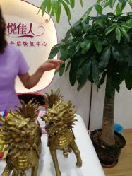 点击看大图 -康乃馨·馨悦佳人(鹭江店)