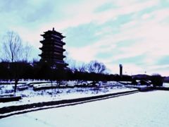 -永定河休闲森林公园