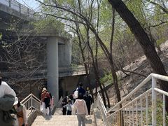 -白水寺森林公园