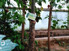 -石家庄市植物园