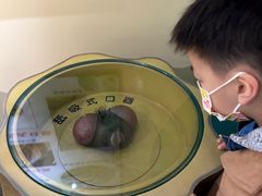 -上海昆虫博物馆