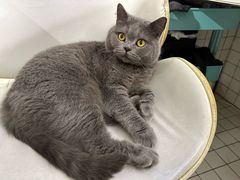 -ID.PHOTO照相馆(嘉里企业中心店)