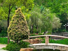 -深圳龙潭公园