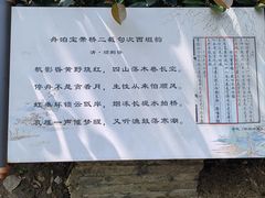 -澹台湖公园