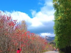 -玉渡山自然风景区
