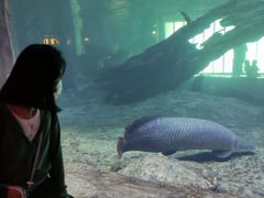 -华夏文旅西安度假区