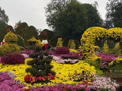 -南山植物园