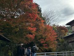 -三千院