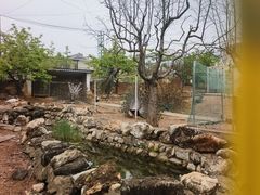 -丽泽山庄·生态怀柔菜·虹鳟鱼(红螺寺店)
