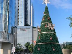 -深圳湾万象城(南山店)