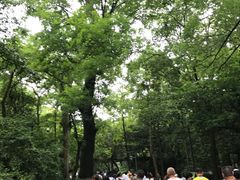 -杭州西湖风景名胜区-三生石