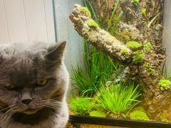 -Rabbit Cafe私房西餐甜点咖啡(栖霞路店)