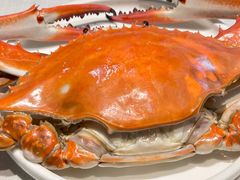 -开海·红岛海鲜虾水饺(石老人店)