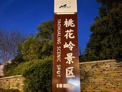 -桃花岭景区