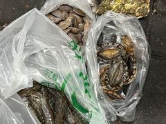 -梅姐海鲜餐厅(水头海鲜街店)