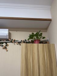 -Dr.林醫生产后修复·配方产康(南京江宁万达店)