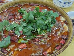 -乡土特色.冷锅鱼.牦牛肉汤锅