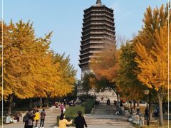 -玲珑塔公园