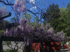 -红螺寺
