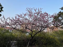 -中南财经政法大学(首义校区)