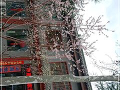 -中原农家乐(中原饭店)